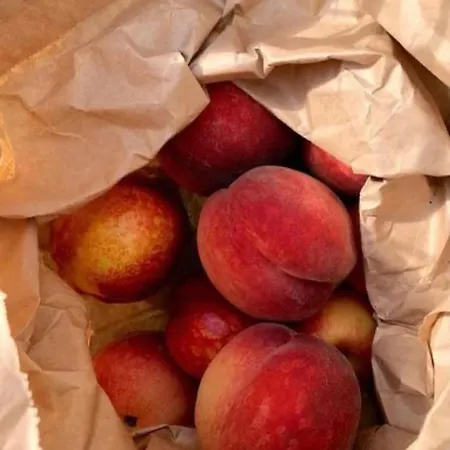 Residenza Parco Sant Andrea *