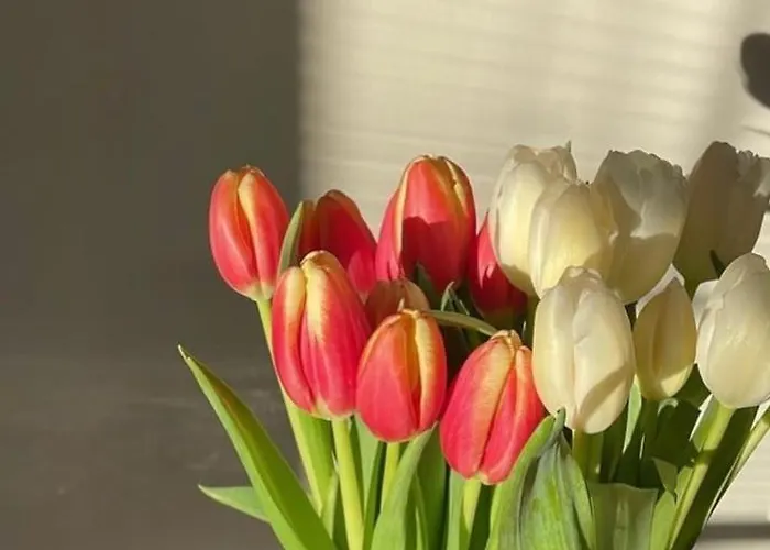 Residenza Parco Sant Andrea Apartman