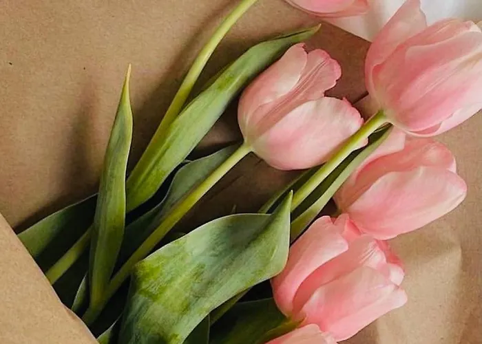 Residenza Parco Sant Andrea