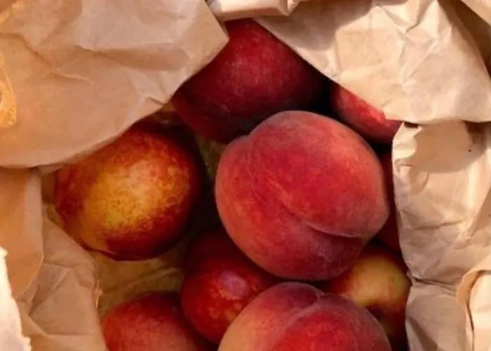 Residenza Parco Sant Andrea *