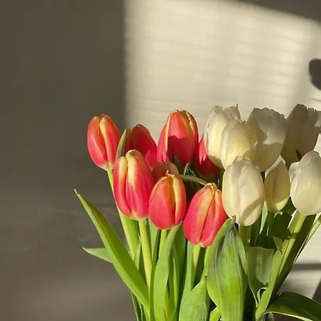 Residenza Parco Sant Andrea Apartamento